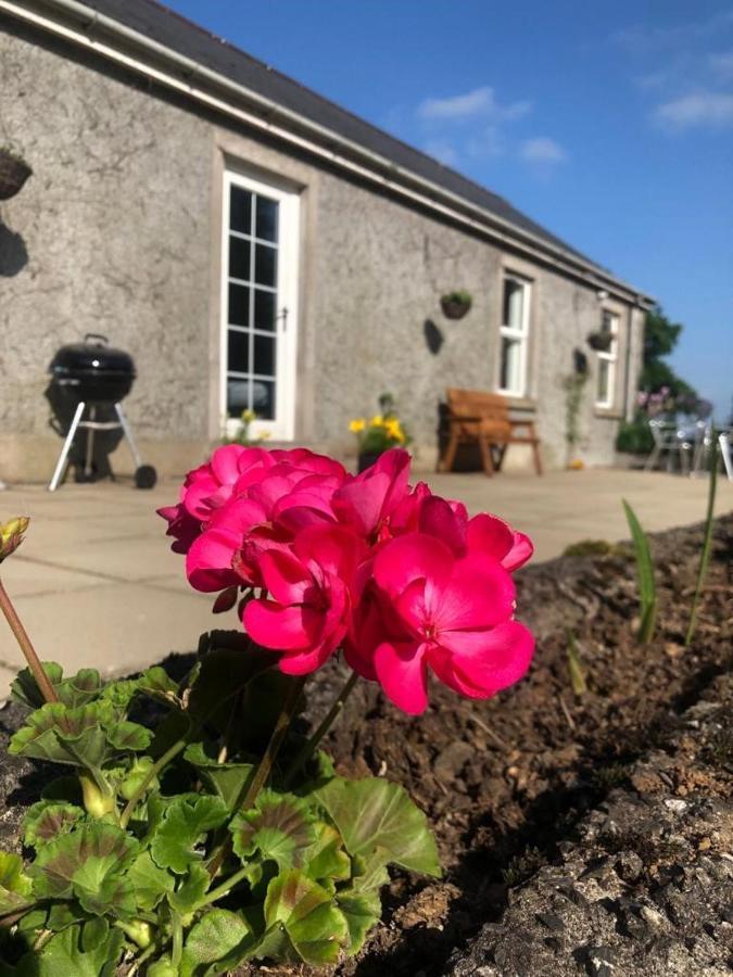 Ballyconnelly Cottages, Galgorm Area Cullybackey Kültér fotó
